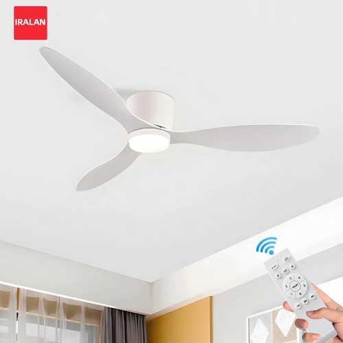 Iralan ceiling fan with light - ceiling,