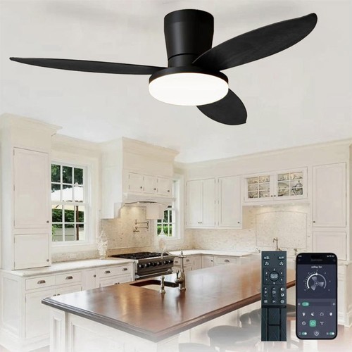Inch smart control ceiling - smart,