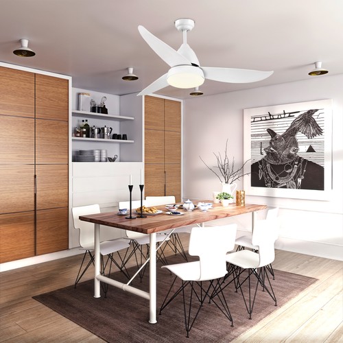 Ceiling fan light - fan, w/