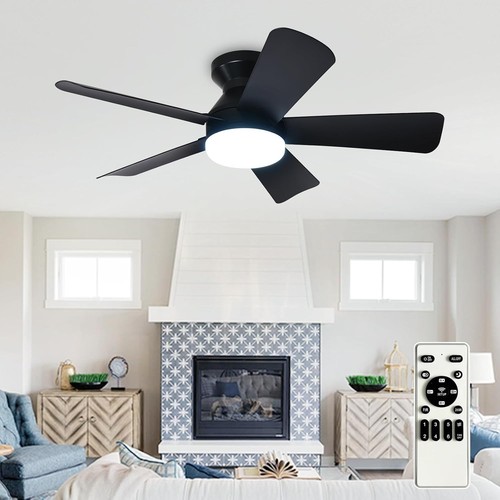 Depuley ceiling fan with - fan,