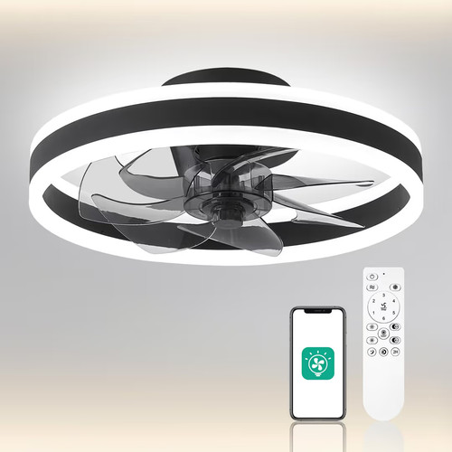 Smart ceiling fan with light - ceiling,