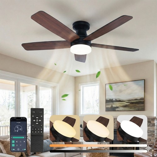 Dimmable led ceiling - led, fan