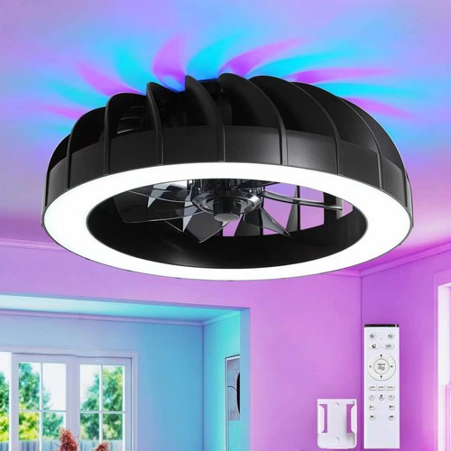 Ceiling fan with light - fan, indoor