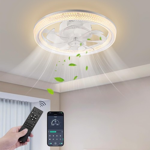 Speed large led ceiling fan - 6,