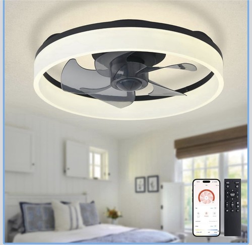 Led ceiling fan with - fan, light