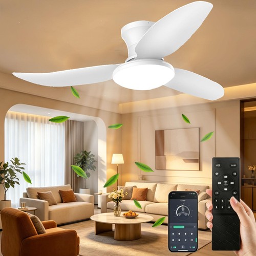 Speed led ceiling - speed,