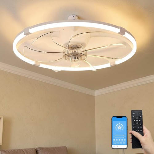 Ceiling fan light sunkenet - ceiling,