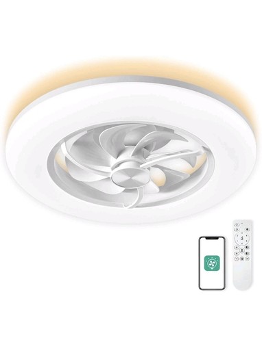 Chanfok low profile - chanfok,
