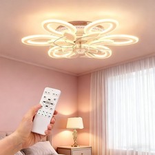 Ceiling Fan with Dimmable