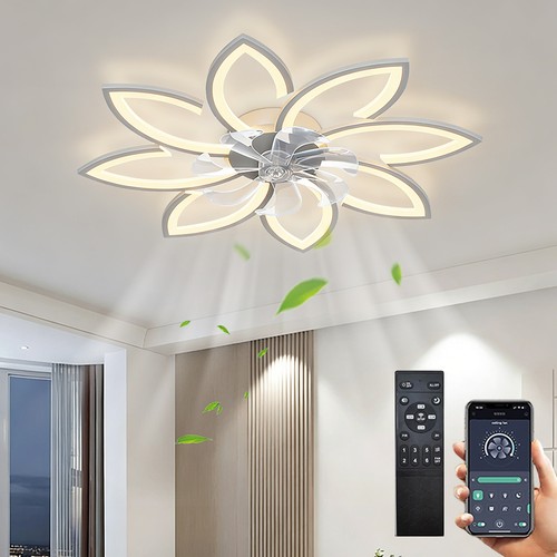 Ceiling fans with - lights, and