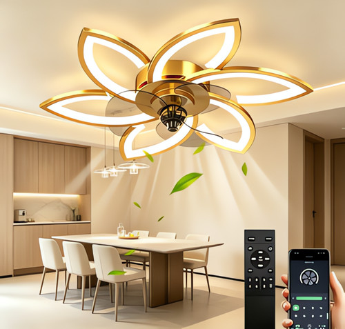 Ceiling fan with - fan,