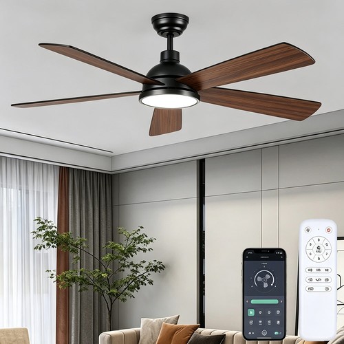 Dimmable smart ceiling fan - smart,