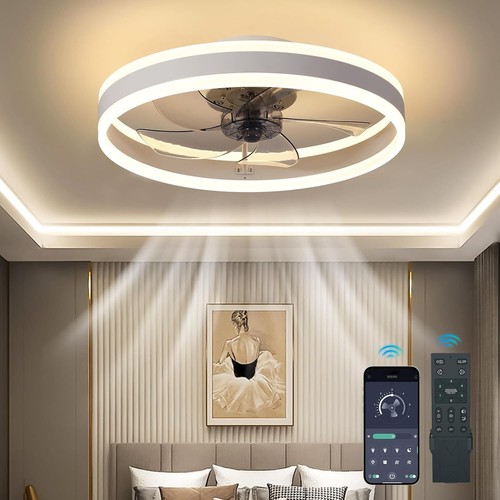 Ceiling fan with - fan, light