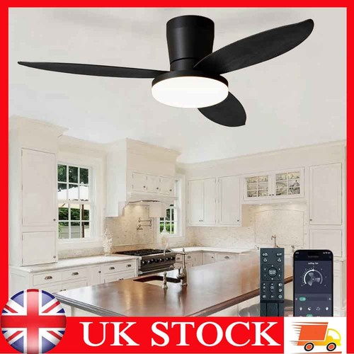 Led ceiling fans with light - ceiling,