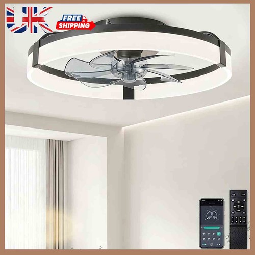 Ceiling fans with lights - ceiling,