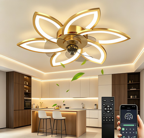 Living room ceiling fan - living, light