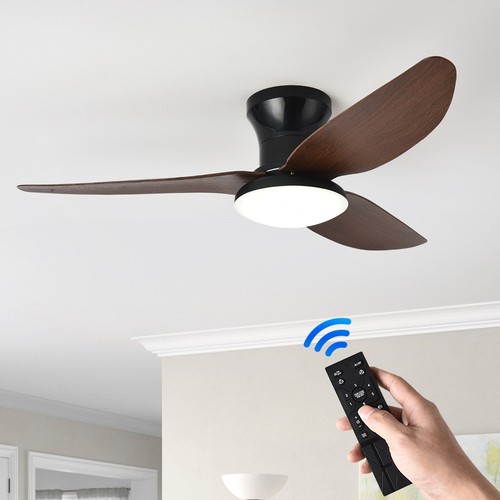 Modern ceiling fan with light - fan,