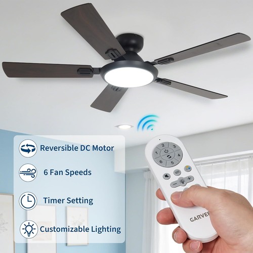 Ceiling fan with - ceiling,