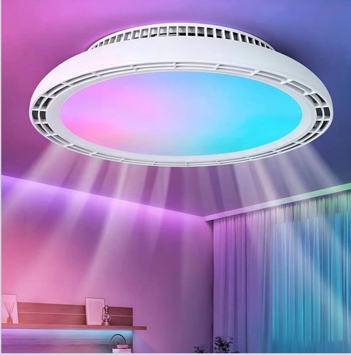 Harper living ceiling - living,