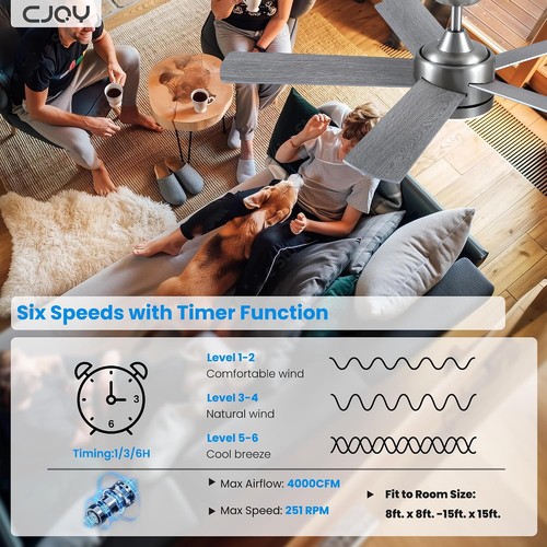 Cjoy white quiet ceiling - 52",