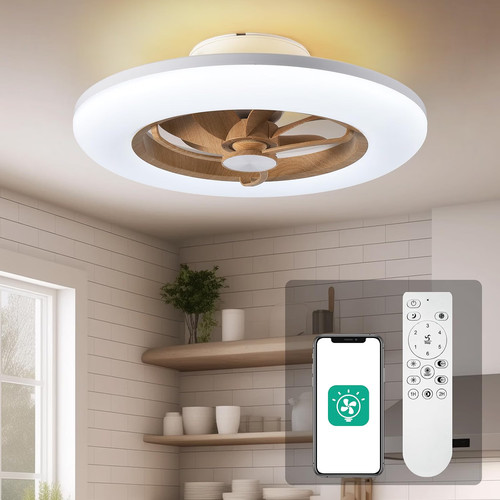 Low profile ceiling fan - ceiling, with
