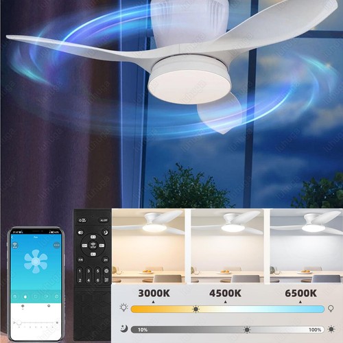 Speed large led - 6,