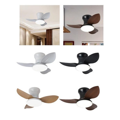 Ceiling fan with - fan, light