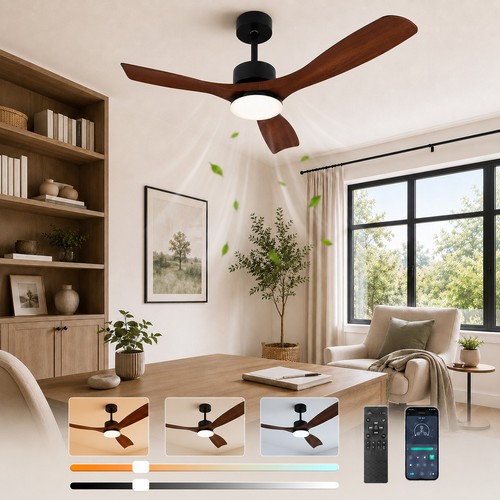 Smart ceiling fan with - smart,