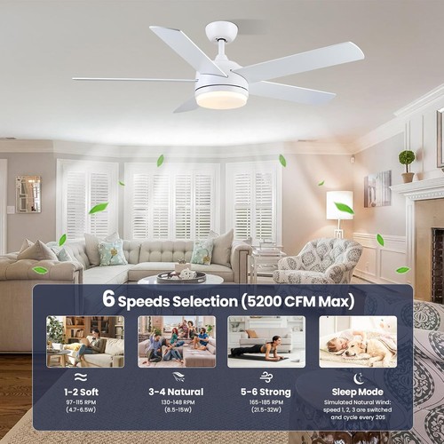 Cjoy white quiet ceiling - 52",