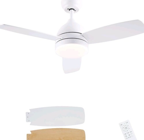 Cjoy ceiling fans - ceiling, lights