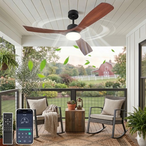 Smart ceiling fan with - 52",