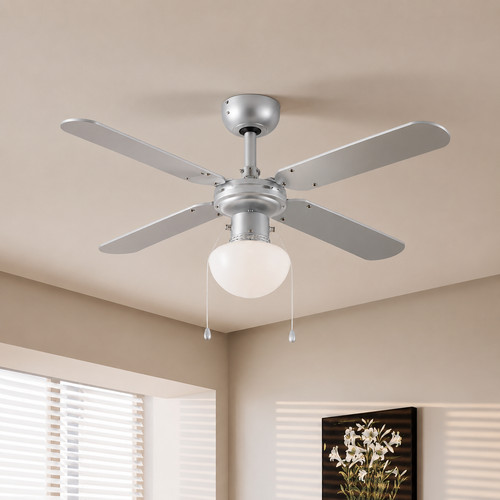 Ceiling fan with - with, light