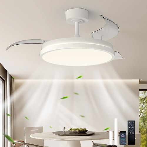 Ceiling fan light - ceiling, remote