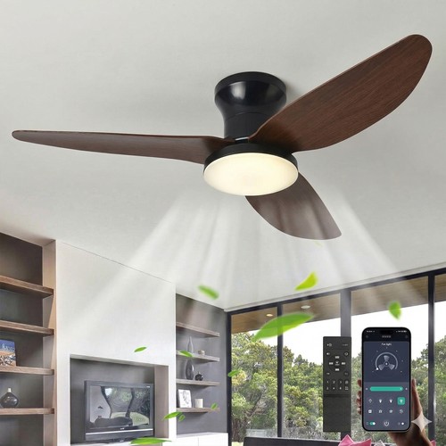Dimmable smart ceiling - ceiling, w/