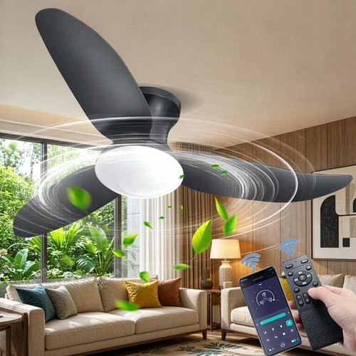 Large led ceiling fan with - large,