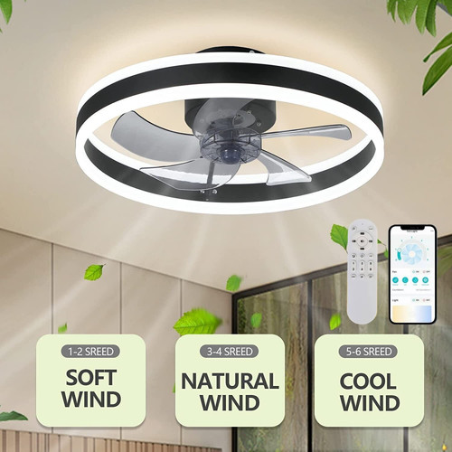 Modern ceiling fan with - fan, rc