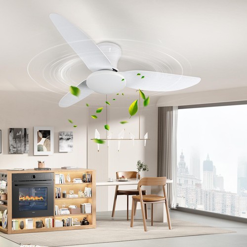 Speed large led ceiling fan - large,