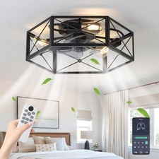 Caged Ceiling Fan with Light