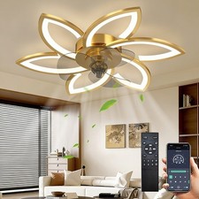 Modern Quiet Ceiling Fan Light