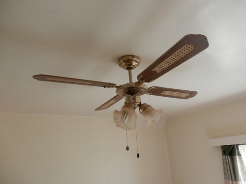 Ceiling fan with - x, lights