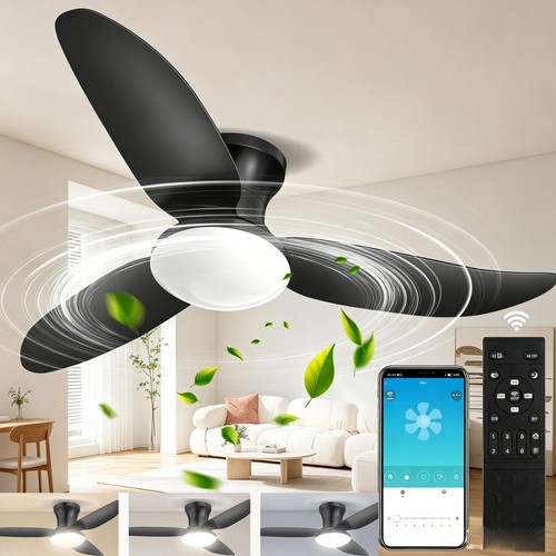 Speed large led ceiling fan - large,