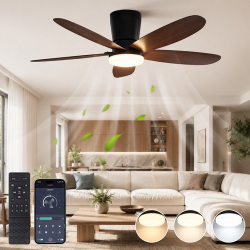 Led ceiling fan - ceiling, light
