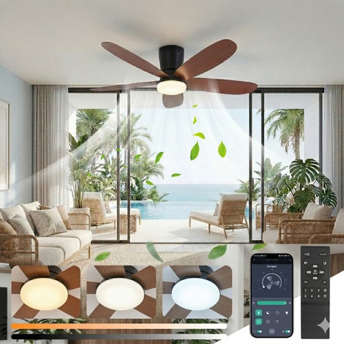 Speed large ceiling - speed,