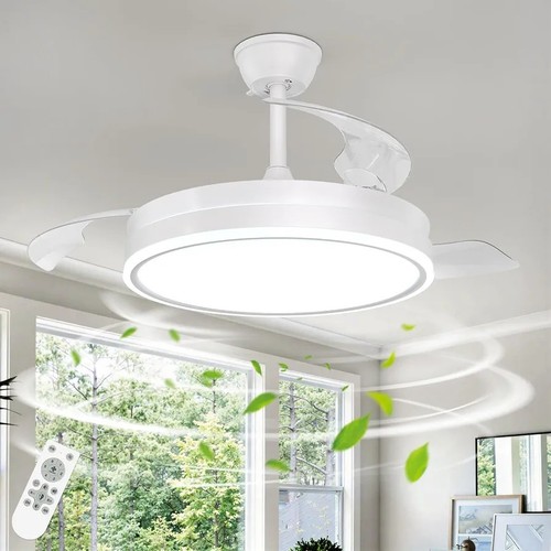 Ceiling fan with lighting - with,