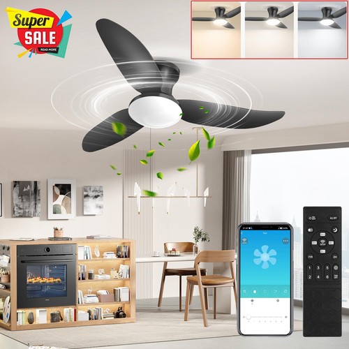 Modern ceiling fan with light - modern,
