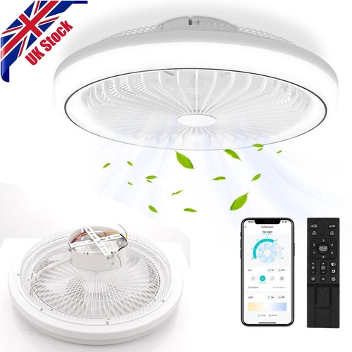 Ceiling fan with - fan, lighting