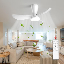 Ceiling Fan with Light and
