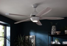 Ceiling Fan with Light 5