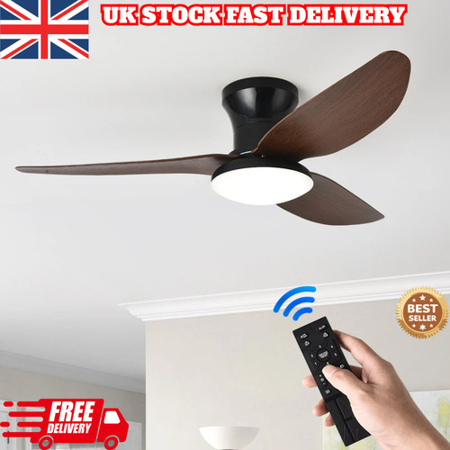 Modern ceiling fan with - modern, light