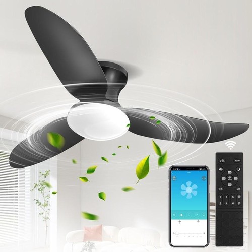 Speed large led ceiling - 6, fan